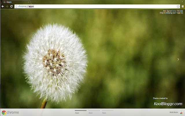 Dandelion 2 chrome extension