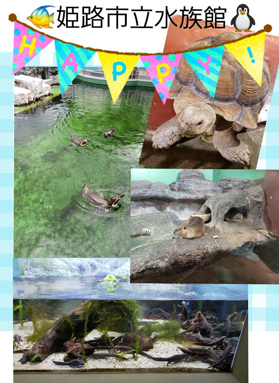 ヴォクシーのバッタ親子・エクストリーム・クロクマ・水族館・ピンクヴォクシーに関するカスタム事例の投稿画像3枚目