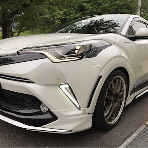 C-HR ZYX10