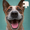 Dog Jigsaw Puzzle Games icon