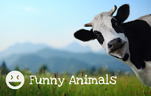 Funny Animals - Hilarious Animal Wallpapers small promo image