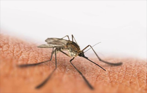 Malaria cases have been reported in the country.