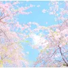 ユーザー