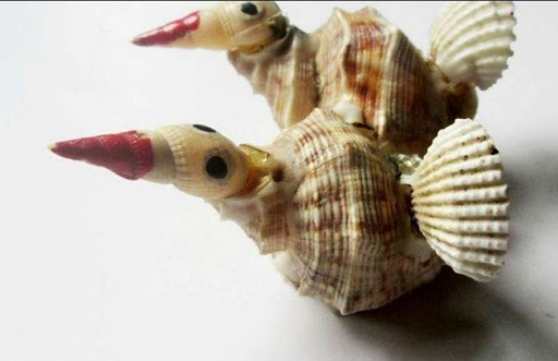 Shell crafts