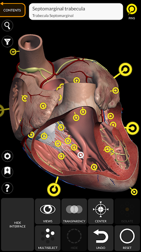 Screenshot Anatomy 3D Atlas
