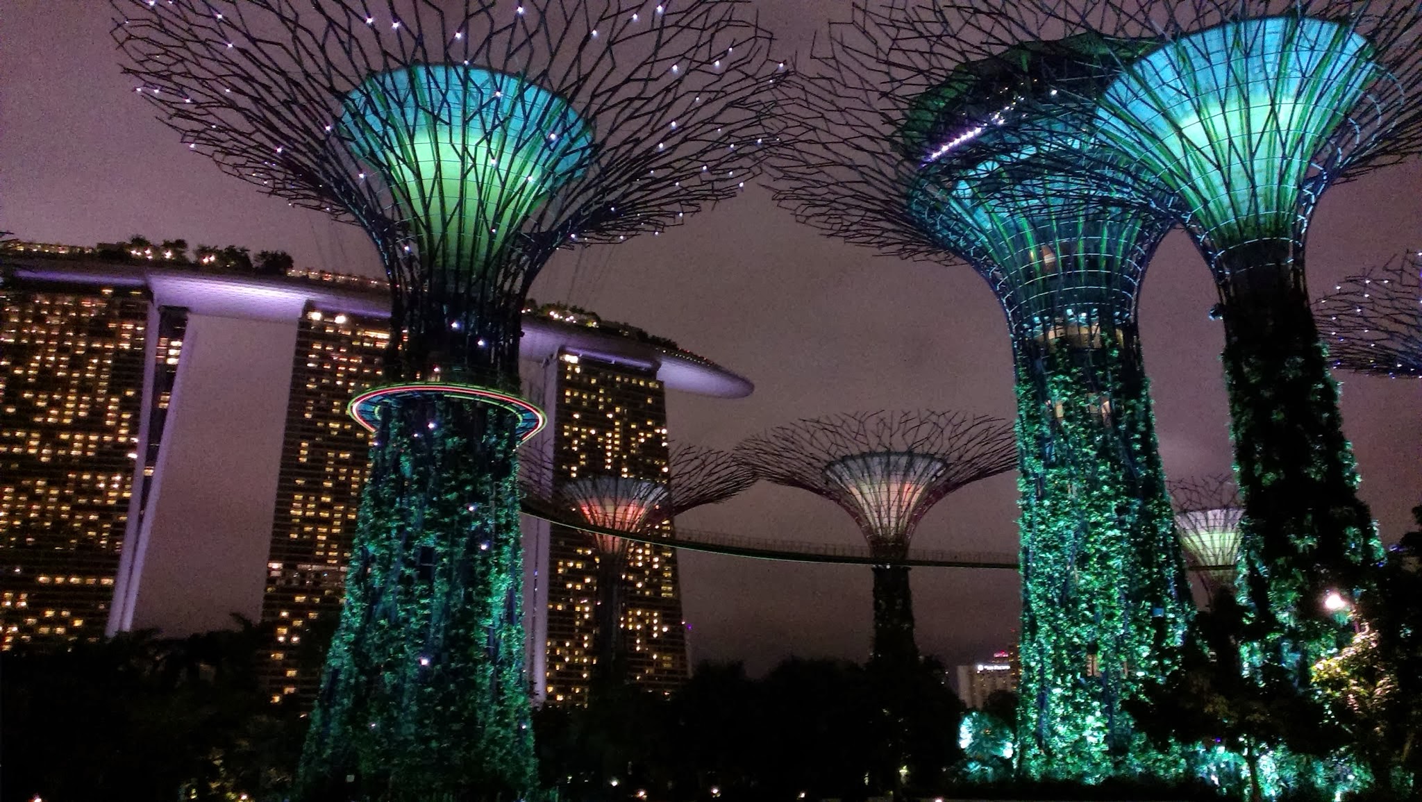 Hành trình Singapore bụi: Tung tăng  vịnh Marina và 2 khu vườn