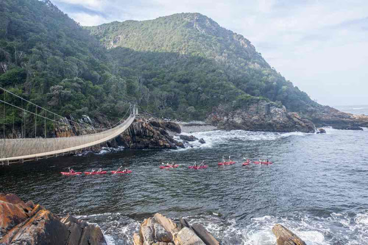 Cliffs tower on either side of the Storms River gorge