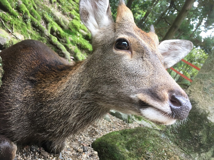 の投稿画像4枚目