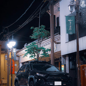 RAV4 MXAA54