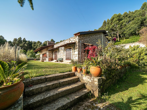 Villa avec piscine et jardin 5
