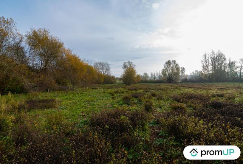  Vente Terrain agricole - 74 048m² à Molières (82220) 