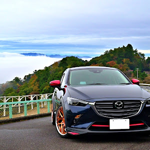 CX-3 DKEFW