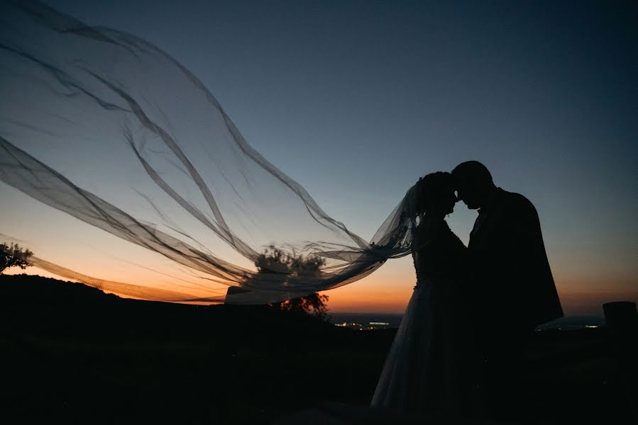 Fotografo di matrimoni Nikola Segan (nikolasegan). Foto del 30 luglio 2020