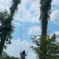 哈比丘茶樹森林