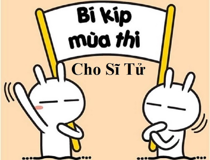 Sĩ tử là gì, điều gì quan trọng với sĩ tử? 