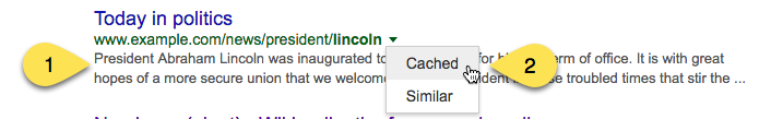Screenshot showing a snippet and a cached selector in search results