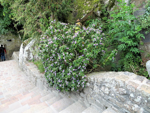 Mont Saint-Michel France 2016