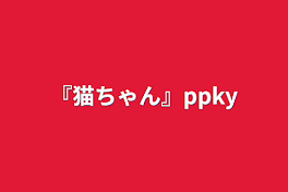 『猫ちゃん』ppky