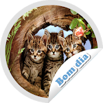 Cover Image of Download Figurinhas de Bom dia - WAStickerApps 1.2 APK