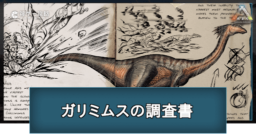 ガリミムスの調査書の場所と掲載内容