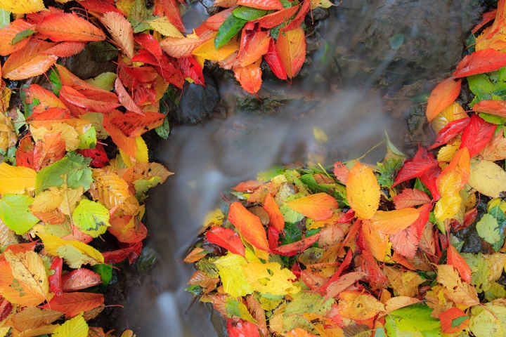 L' autunno che scorre di emmeerre