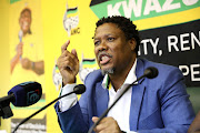 ANC KwaZulu-Natal secretary Bheki Mtolo. File photo.