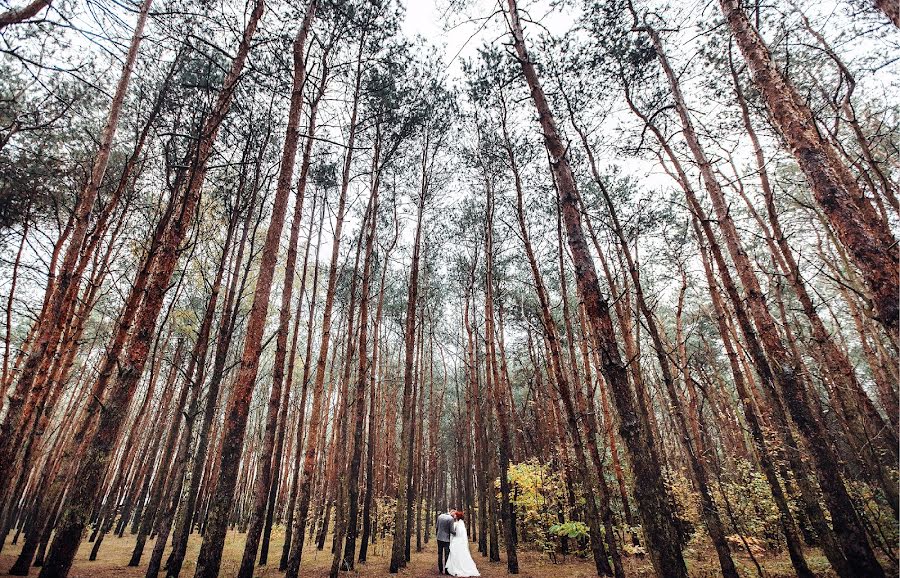 Fotógrafo de bodas Aleksandr Korobov (tomirlan). Foto del 17 de marzo 2017