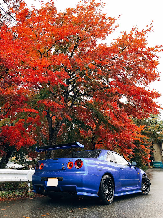 スカイライン GT-Rのドライブに関するカスタム事例の投稿画像1枚目