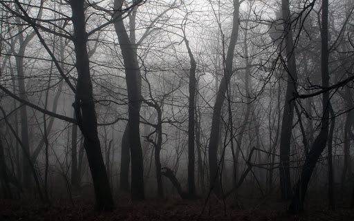 Dark Forest Live Wallpaper