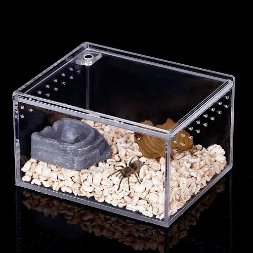 Reptile Breeding Box Clear Acrylic Reptile Feeding Box Insect Box Mantis Breeding Box Insect Reptile Cage Terrarium Terr