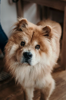 Jurufoto perkahwinan Jakub Šebek (jakubsebek). Foto pada 3 Januari 2023