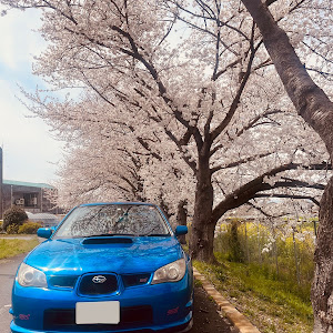 インプレッサ WRX STI GDB