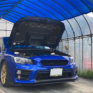 WRX S4 VAG