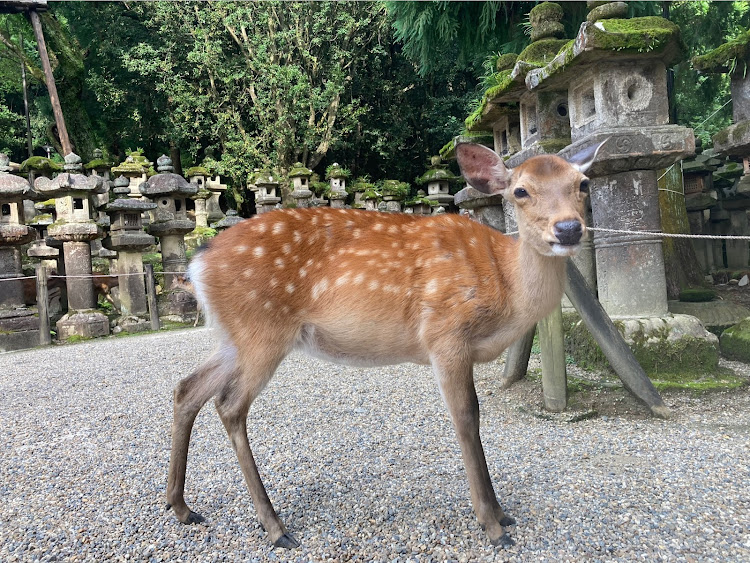 の投稿画像8枚目