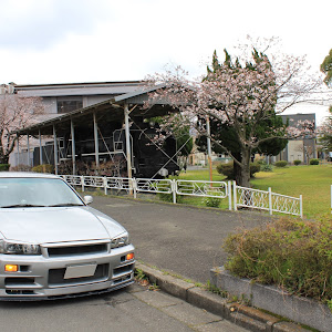 スカイライン R34