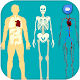 Download ویدیو آناتومی بدن انسان - human anatomy video For PC Windows and Mac