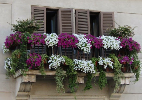 Un balcone fiorito di saretta2905