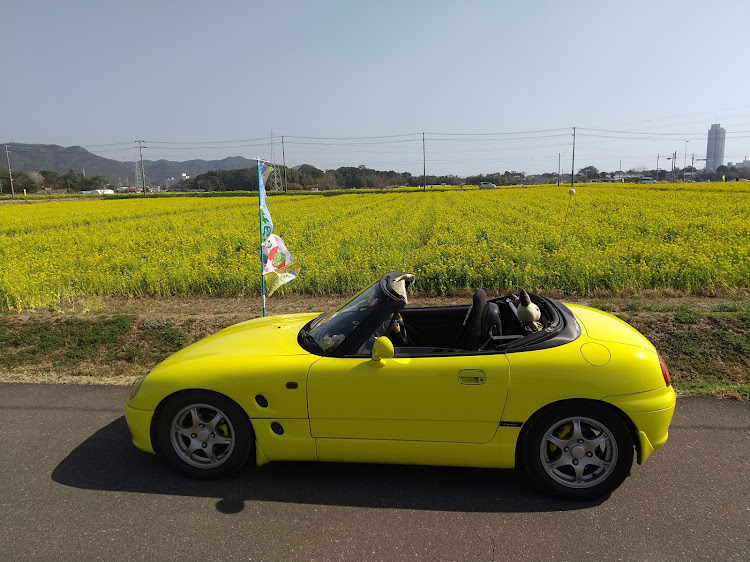 カプチーノの燃費・菜の花・左斜め前写真展に関するカスタム事例の投稿画像6枚目