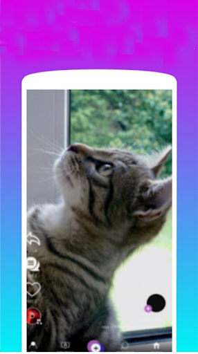 MX TakaTak- Short Video App Guide 2020