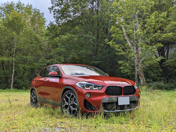 X2のX2・F39・BMW・コーティングメンテナンス・秋の気配に関するカスタム事例の投稿画像3枚目