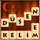 Düşen! Kelime Oyunu Download on Windows