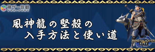 風神龍の堅殻