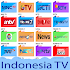 TV Indonesia :  direct & replay (All Channels)4.0