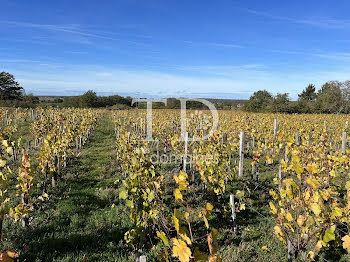 terrain à Châteaumeillant (18)