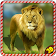 Wild Angry Lion Revenge Sim 3D icon