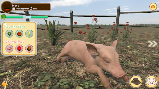 Screenshot Piglet