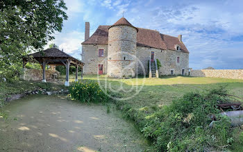 manoir à Tournon-Saint-Martin (36)