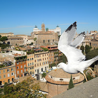 In volo sul Foro di Roma di 