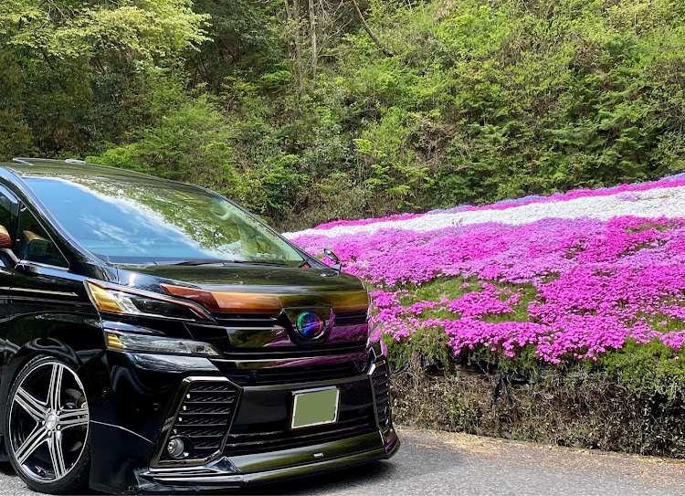 ヴェルファイアのローガン・Daiya Forest・御田家🍢　Grant.hope223  輪止めビビリーズ・芝桜と愛車・長々と桜🌸投稿お付き合い頂きありがとうでした😊に関するカスタム事例の投稿画像2枚目