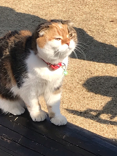 異世界を興味持つもの